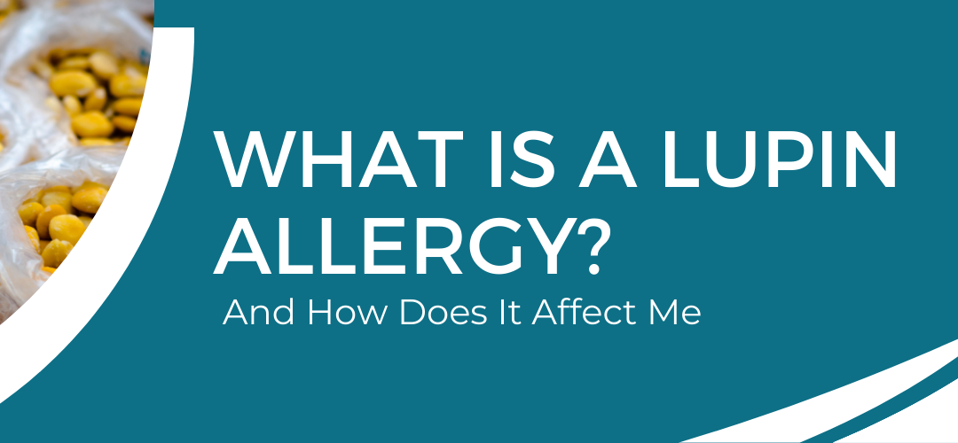 What is a Lupin Allergy And How Does It Affect Me