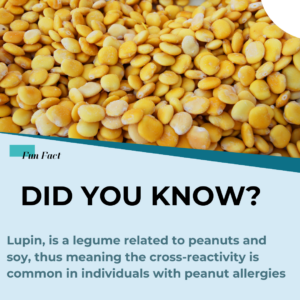 lupin allergy and peanut allergy are quite similar